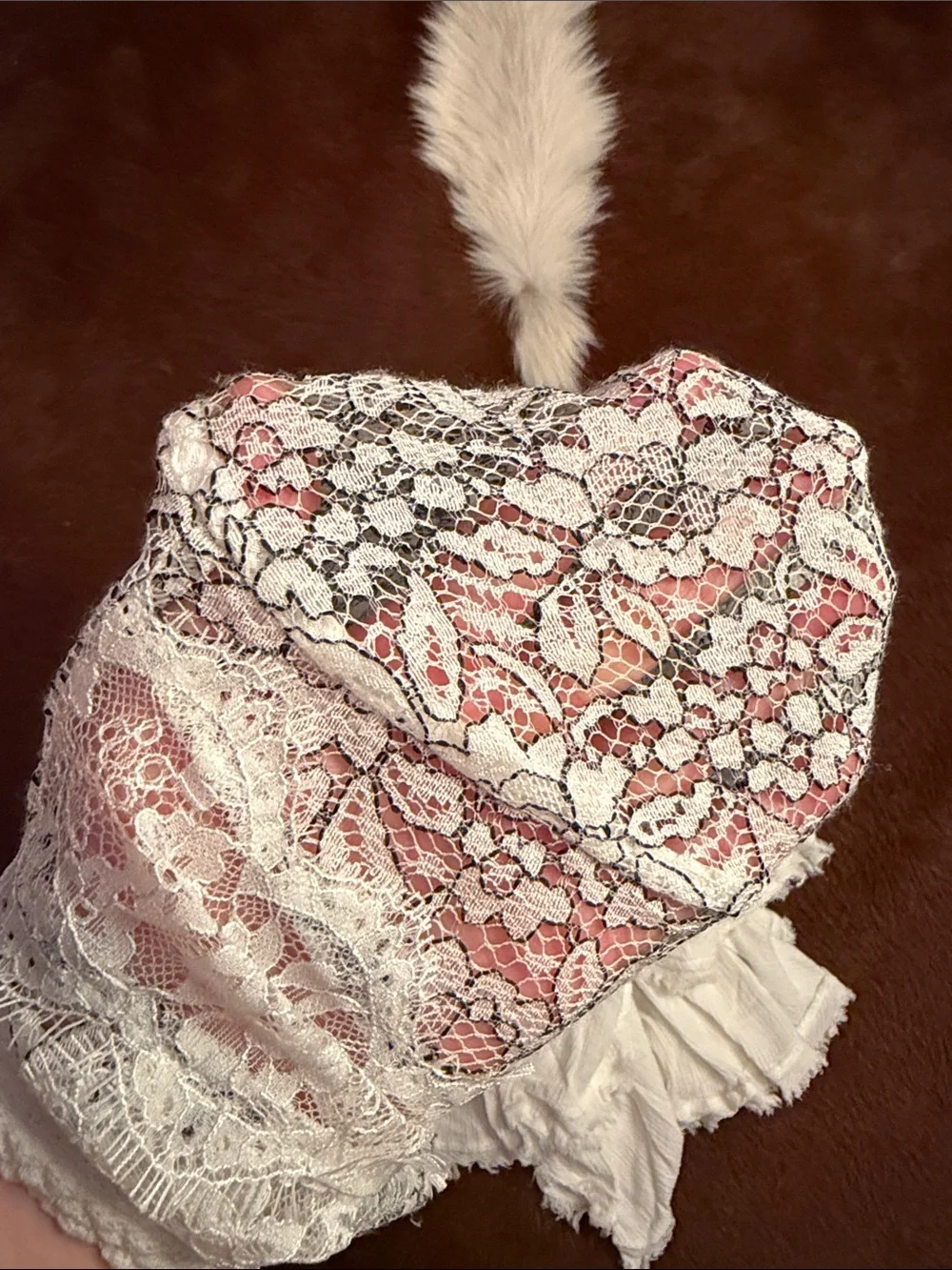 Free People White Lace & Gauze Long Sleeve Mini Dress